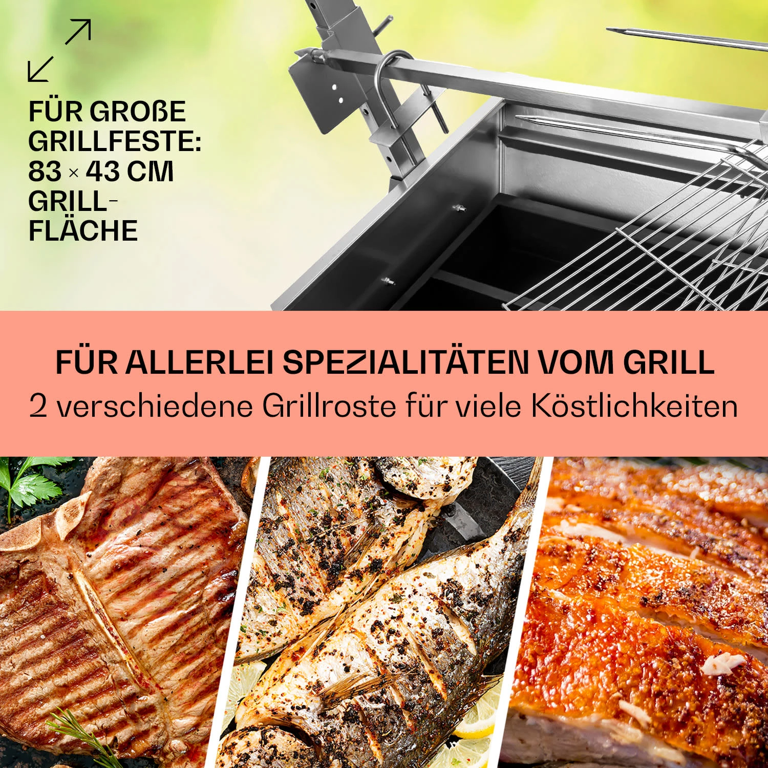 Sauenland Spanferkelgrill Mit Elektromotor Drehspieß – Bild 4