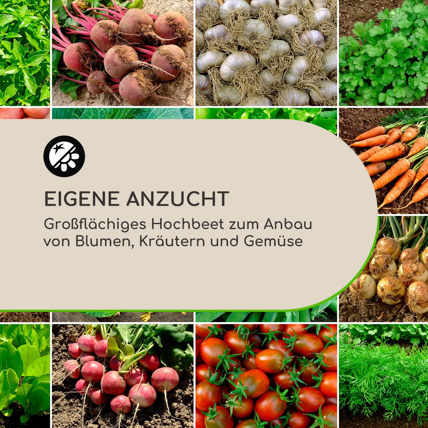 High Grow Straight Hochbeet 100x60x100cm 600l Stahl – Bild 4