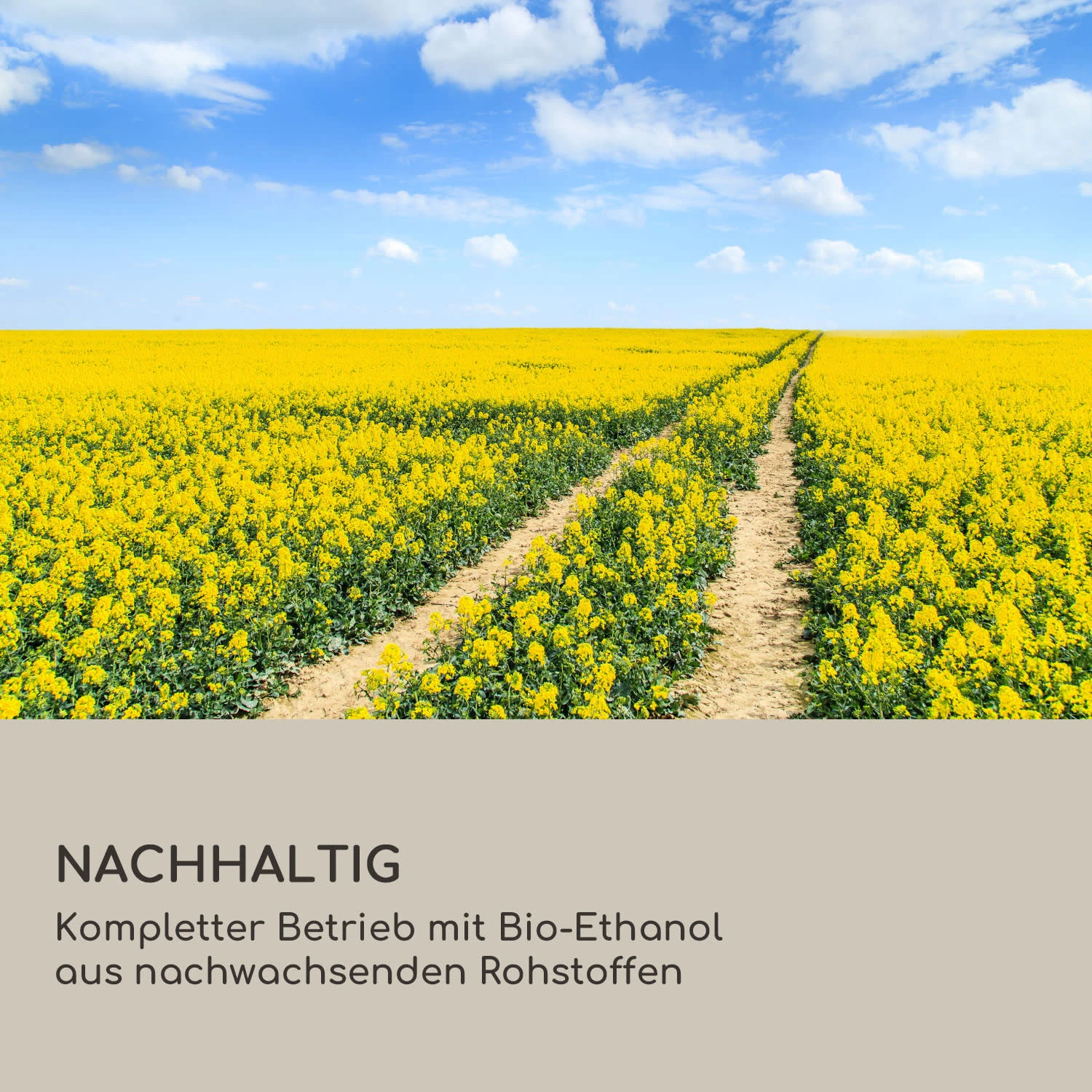 Firetower Ethanol-Kamin Sicherheitsbrenner 250 Ml / 1,5 H Löschhilfe Flammenschutz – Bild 7