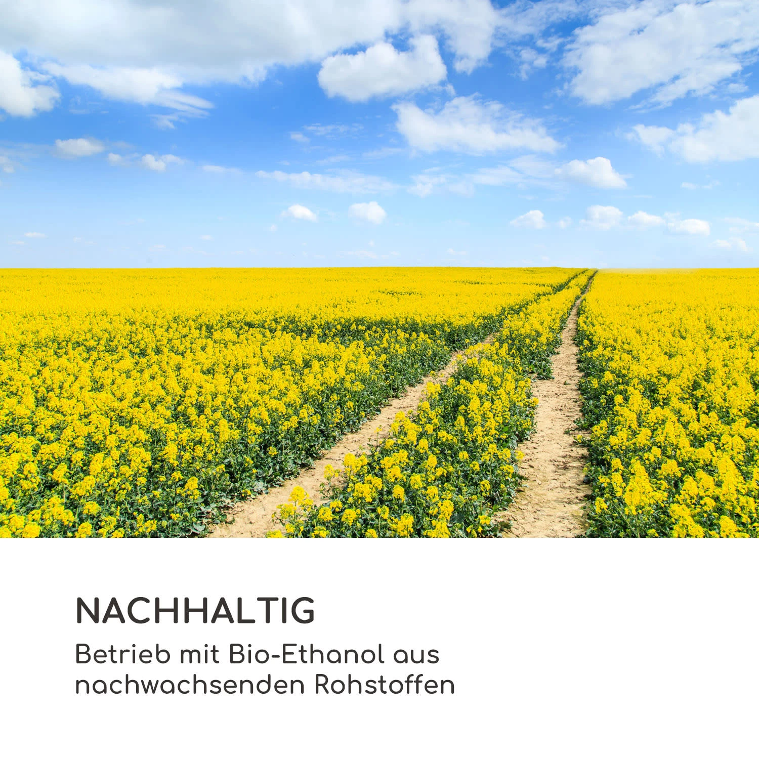 Fiamme Cantal Ethanol-Kamin Edelstahl-Brenner 1,2 Liter 4-6 H Brenndauer – Bild 9