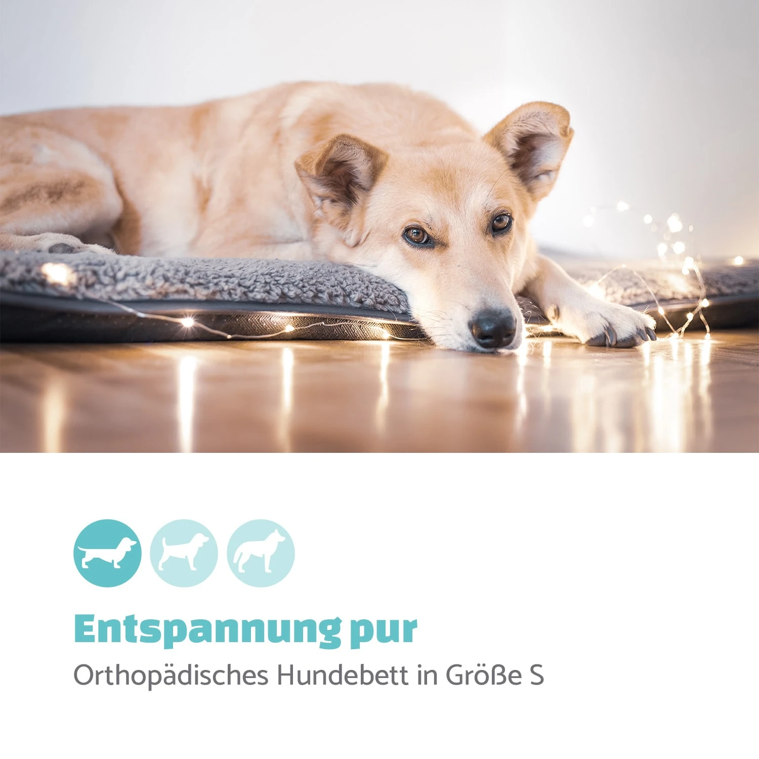Finn Hundebett Waschbar Rutschfest Atmungsaktiv PE / Vlies Größe S – Bild 2