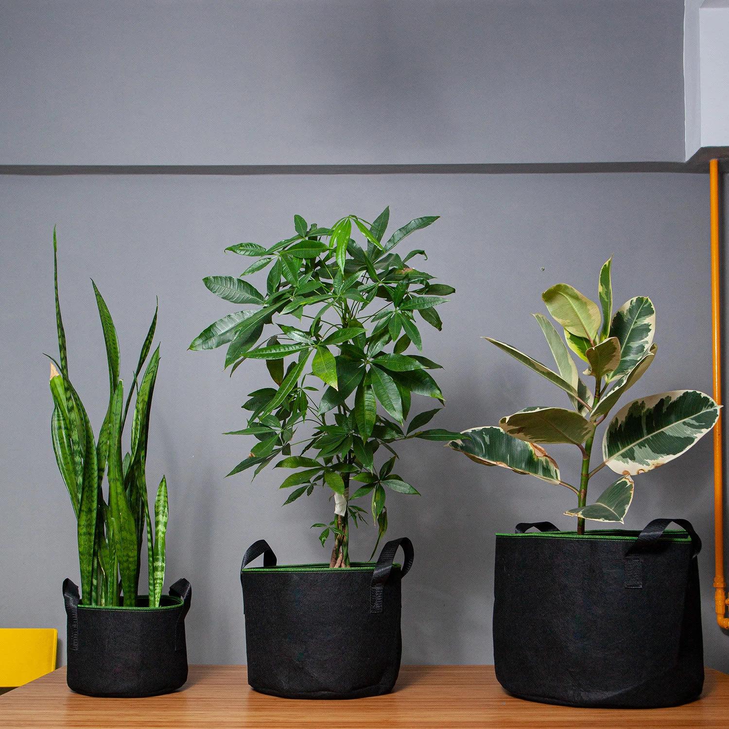 Pflanzsack Set 5 Stück 60 Liter Vlies Mit Henkeln – Bild 2