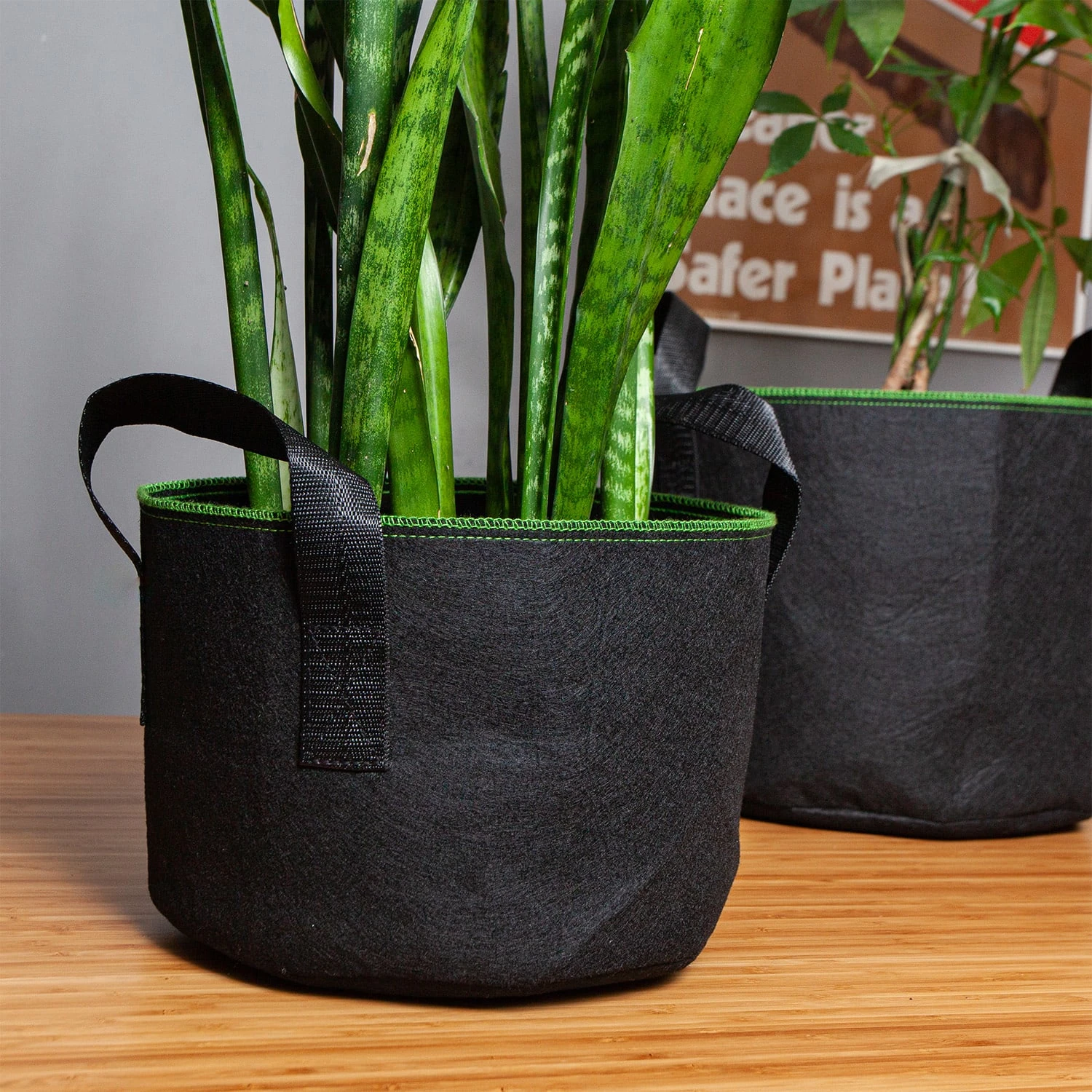 Pflanzsack Set 5 Stück 60 Liter Vlies Mit Henkeln – Bild 4